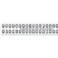 Black & White Presidential Vinyl Ruler